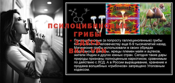 герыч Кинешма